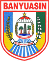 logo banyuasin